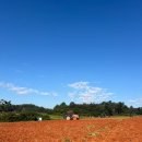 나주호농장 이미지