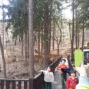 반디식당 이미지