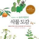 식물도감