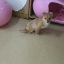 잎새 이미지