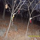 송전목장 이미지