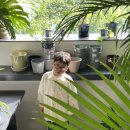 이호그린 이미지