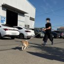 배봉사 | [부산동물보호센터] 유기견봉사후기 2025.11 ③