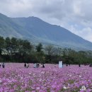 가을 정취 물든 거창, 전국 관광명소로 떠올라 이미지