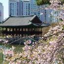 경충대로 2709번길 3 이미지