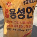 용성땅콩 이미지