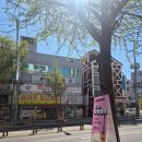 [주말] 힐링악기 우쿨렐레 네이버블로그