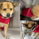 갈산2통 마을회관 이미지