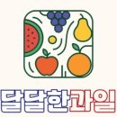 달달한과일