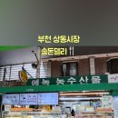 송돈델리 이미지