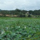 땅끝마을농장 이미지