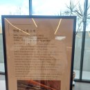 나비엘시지갤러리 | 시지사월카페 안팎(anpark)원데이클래스도즐겨요