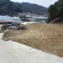 망동천 이미지