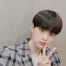 깜장콩 이미지