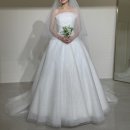 디아일 | 디아일 드레스 투어 후기｜지정 촬영용 & 본식 드레스 피팅 솔직 리뷰👰🏻‍♀️✨