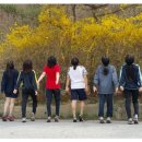 용기네 농장 네이버블로그