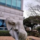 제주건강과 성박물관 이미지