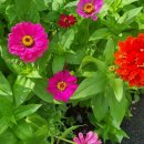 용비쉼터 이미지