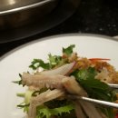 오발탄 Daum카페