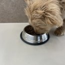 똑독트레이닝스쿨 이미지