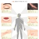 서울연세21세기의원 이미지