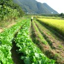 조은들농장 이미지