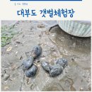 아이랑 대부도 갯벌체험장 두서어촌체험마을 준비물 시간표