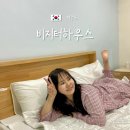 새미게스트하우스 | 제주공항 근처 혼자 숙소 1인 머물기 좋은 가성비 비지터 게스트하우스