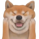 함양동물병원 이미지