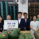 구리청과(주) 시정일보