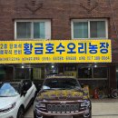 황금호수오리농장 티스토리