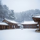 자양벚꽃100리길 | 1,300년 동안 임진왜란·한국전쟁도 피해간 천년 고찰, 공주 마곡사