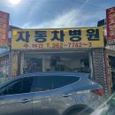 대기카포스 이미지