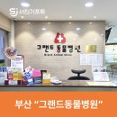 그랜드동물병원 이미지