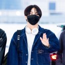 고양이에정원 이미지