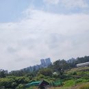 아랑디