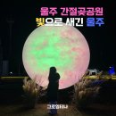 해맞이행사장 | 울산 가볼만한 곳 울주 간절곶공원 해맞이축제 빛으로 새긴 울주 비밀의 정원