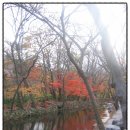 선운산 한우 이미지