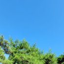 수원-0828 Daum카페