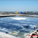 신안(여) 이미지