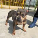 내장주유소 이미지