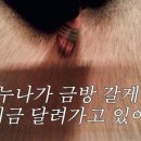 프리코우