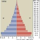 [10급공무원사회] 인구피라미드 이미지