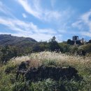 거제관광모노레일 이미지