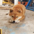 옛시청교차로 이미지