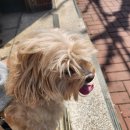 멍그라미 이미지