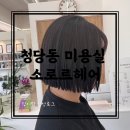 천안 백석동 미용실 나만 알고 싶은 소로르헤어샵 테슬컷 후기