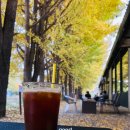 나무카페 이미지