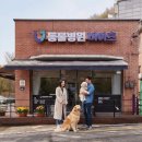 동물병원비아츠