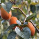 성모길내과의원 이미지